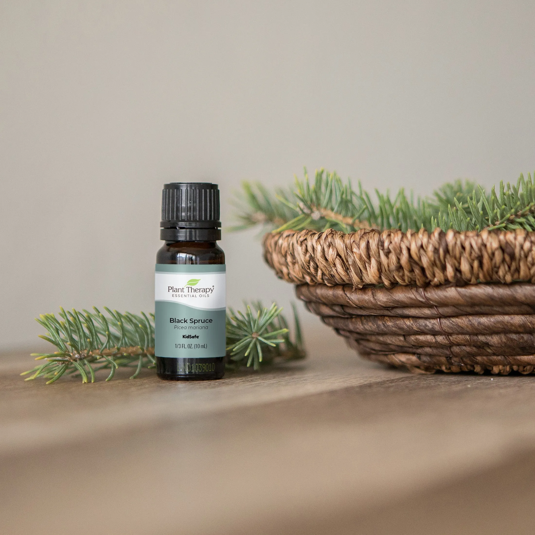 Plant Therapy Spruce Black Essential Oil