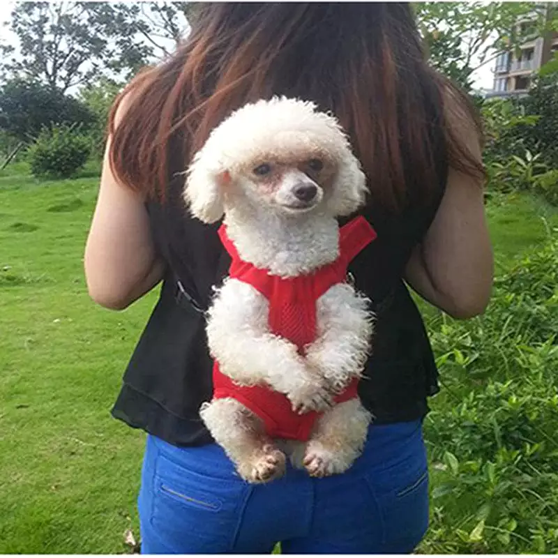 TAILUP Luxury Backpacks Carrying Small Pet Double Shoulder Dog Carrier Bag Cat Puppies Travel Backpack